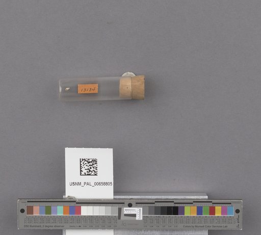NSF ADBC EPICC TCN