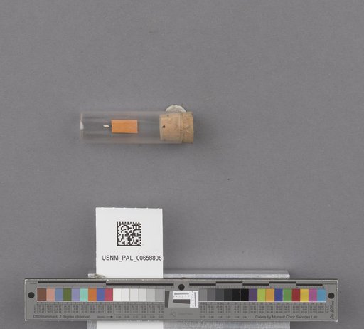 NSF ADBC EPICC TCN