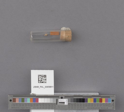 NSF ADBC EPICC TCN