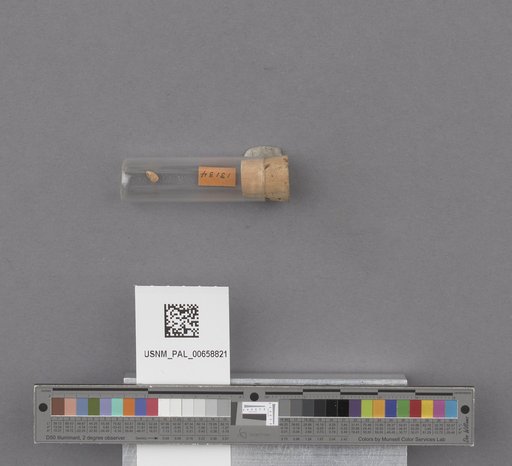NSF ADBC EPICC TCN