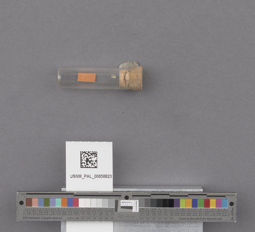 NSF ADBC EPICC TCN