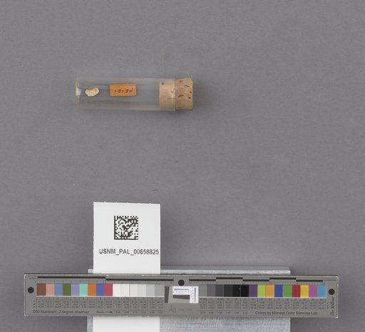 NSF ADBC EPICC TCN