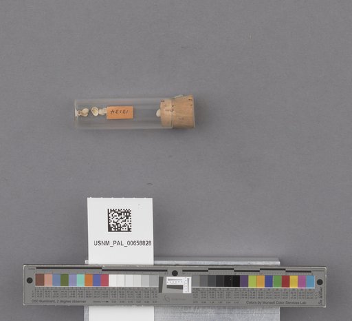 NSF ADBC EPICC TCN