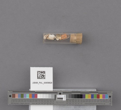 NSF ADBC EPICC TCN