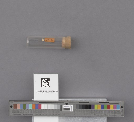 NSF ADBC EPICC TCN