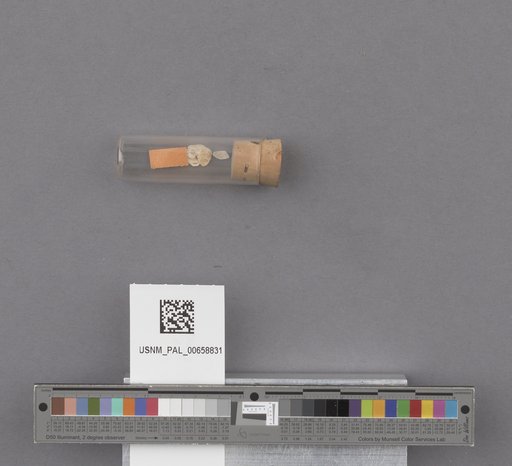 NSF ADBC EPICC TCN