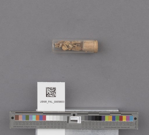 NSF ADBC EPICC TCN