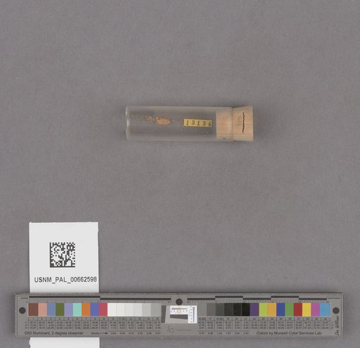 NSF ADBC EPICC TCN
