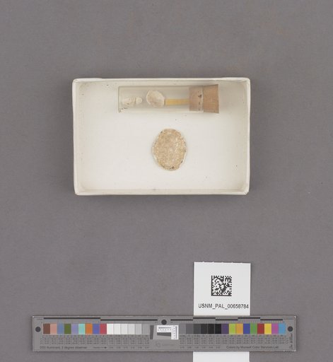 NSF ADBC EPICC TCN