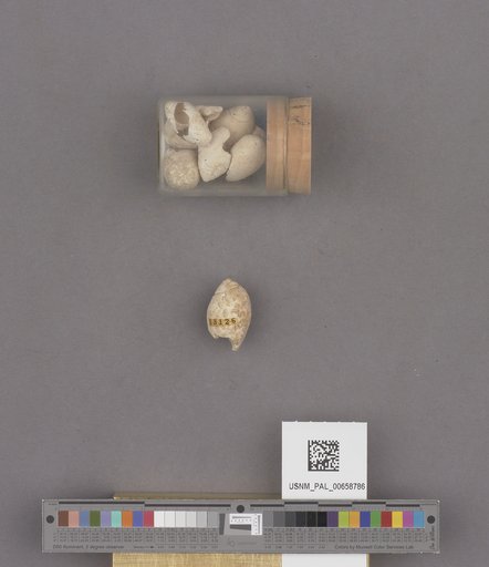 NSF ADBC EPICC TCN