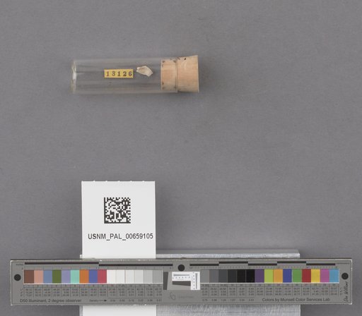 NSF ADBC EPICC TCN