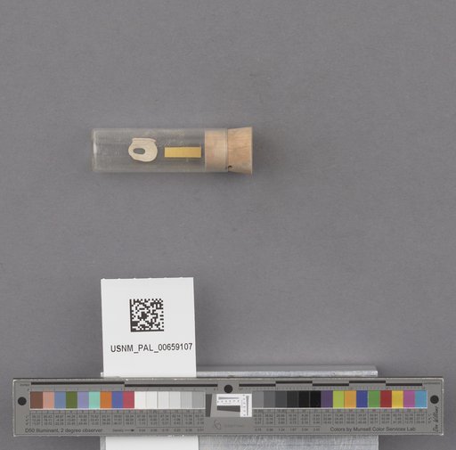 NSF ADBC EPICC TCN