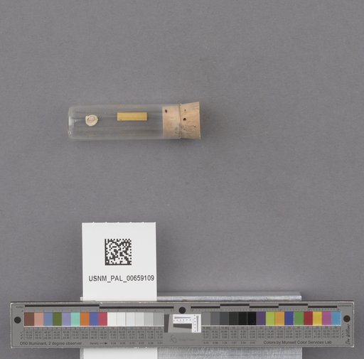 NSF ADBC EPICC TCN