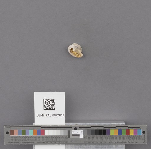 NSF ADBC EPICC TCN