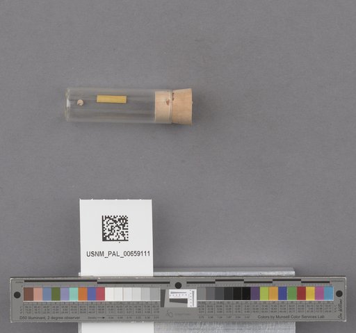 NSF ADBC EPICC TCN