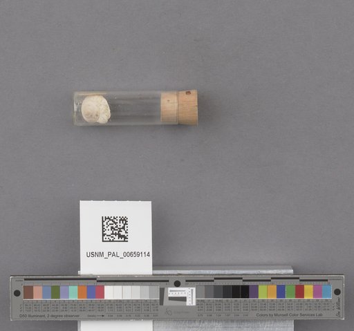 NSF ADBC EPICC TCN