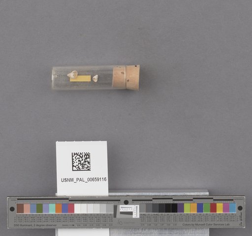 NSF ADBC EPICC TCN