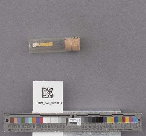 NSF ADBC EPICC TCN