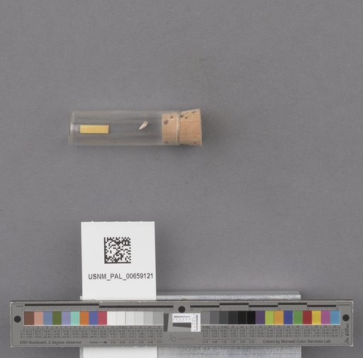 NSF ADBC EPICC TCN