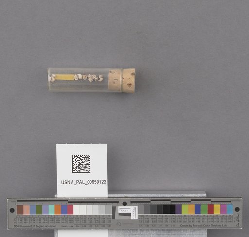 NSF ADBC EPICC TCN