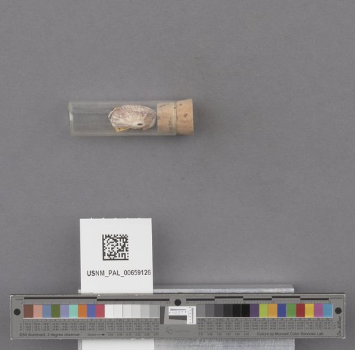 NSF ADBC EPICC TCN