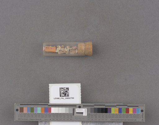 NSF ADBC EPICC TCN