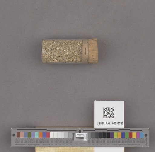 NSF ADBC EPICC TCN