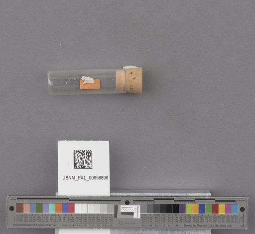 NSF ADBC EPICC TCN