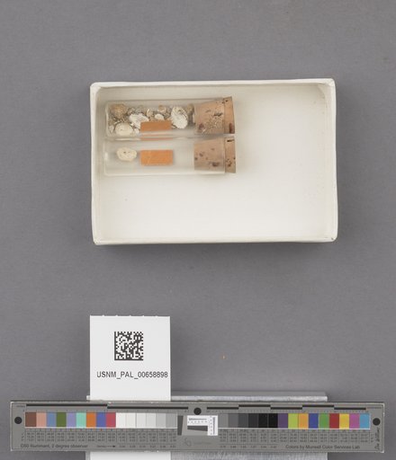 NSF ADBC EPICC TCN