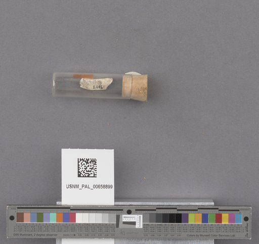 NSF ADBC EPICC TCN