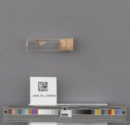 NSF ADBC EPICC TCN