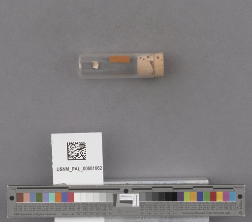 NSF ADBC EPICC TCN