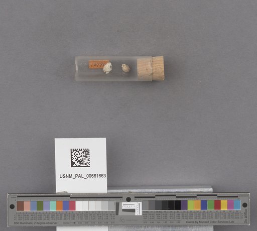 NSF ADBC EPICC TCN