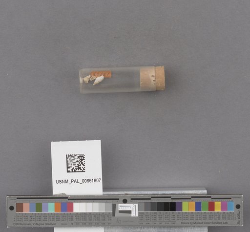 NSF ADBC EPICC TCN