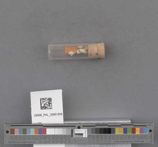 NSF ADBC EPICC TCN
