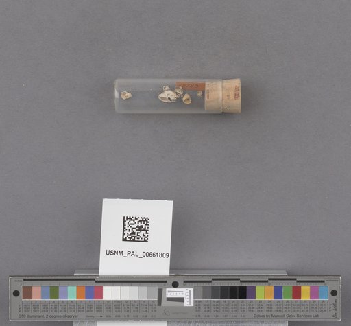 NSF ADBC EPICC TCN