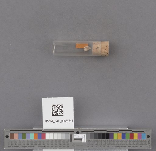 NSF ADBC EPICC TCN