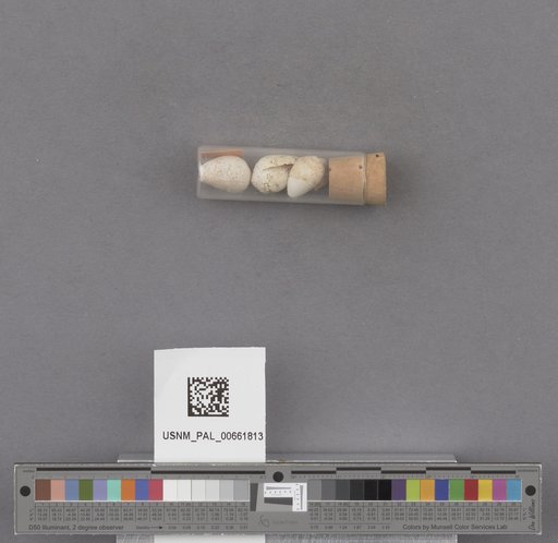 NSF ADBC EPICC TCN