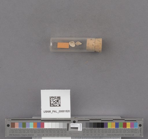 NSF ADBC EPICC TCN