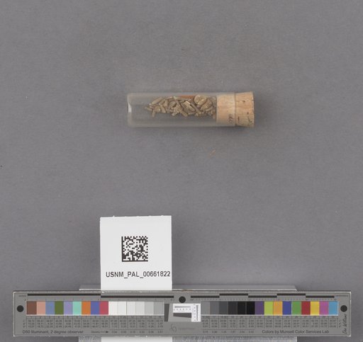 NSF ADBC EPICC TCN