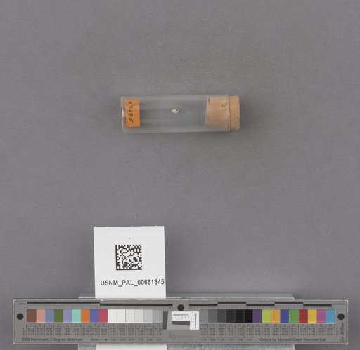 NSF ADBC EPICC TCN