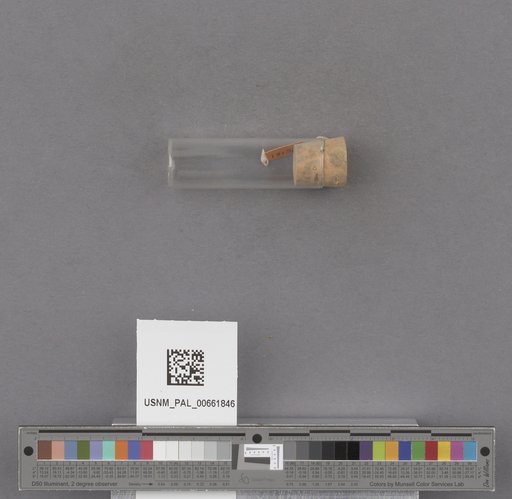 NSF ADBC EPICC TCN