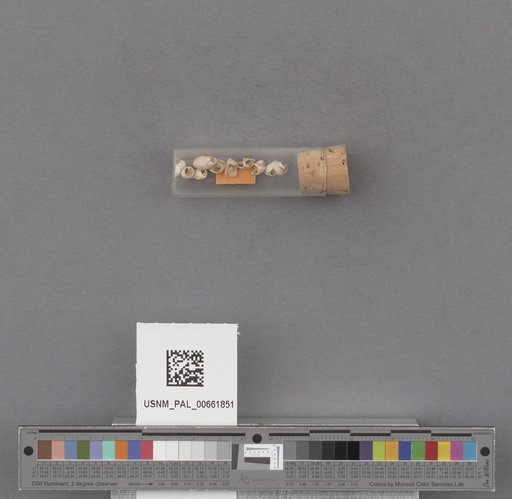 NSF ADBC EPICC TCN