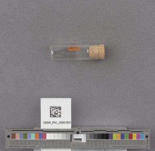 NSF ADBC EPICC TCN