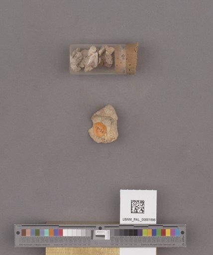 NSF ADBC EPICC TCN
