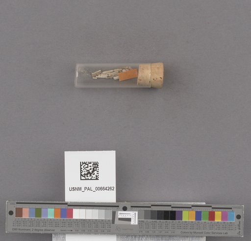 NSF ADBC EPICC TCN