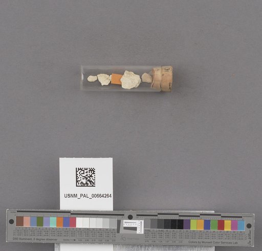 NSF ADBC EPICC TCN