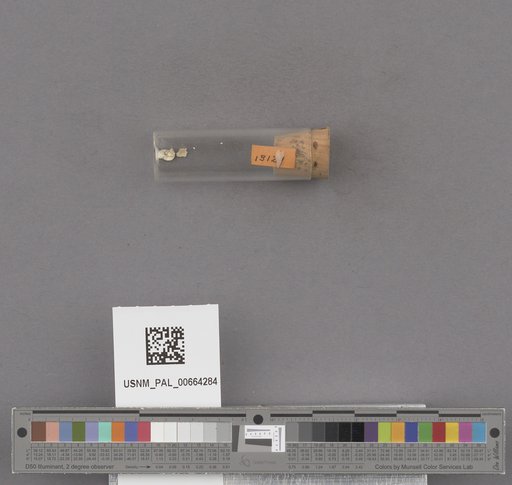 NSF ADBC EPICC TCN