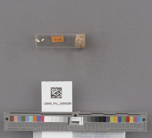 NSF ADBC EPICC TCN
