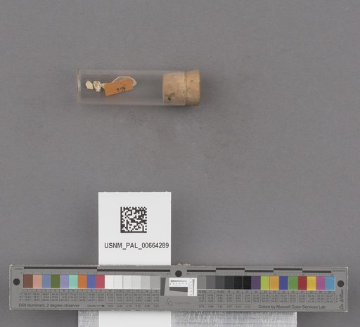 NSF ADBC EPICC TCN